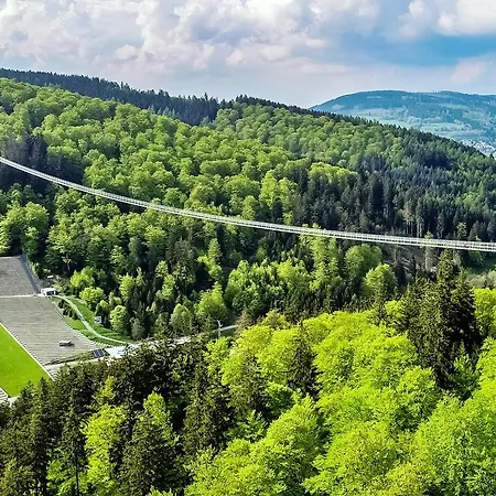 First-class Domizil Willingen-lodge Mit Garten In Zentraler Top-lage! Апартаменты *