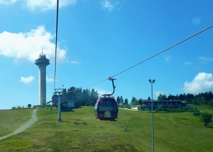 Apartamento First-class Domizil Willingen-lodge In Zentraler Lage! Willingen (Upland)